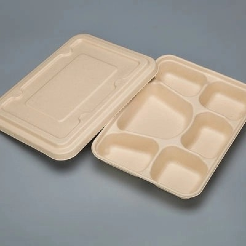 PCR 6 Compartment Lunch Box