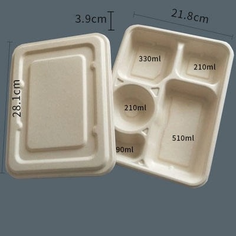 PCR 6 Compartment Lunch Box