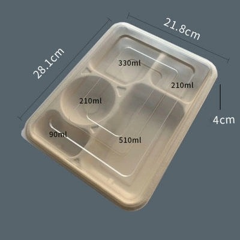 PCR 6 Compartment Lunch Box