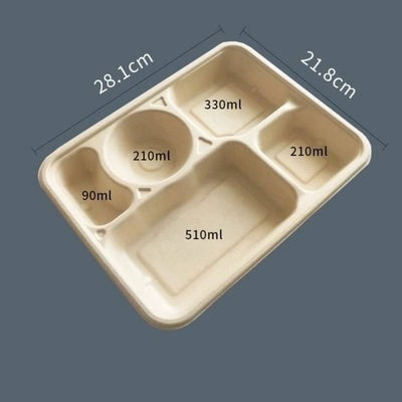 PCR 6 Compartment Lunch Box