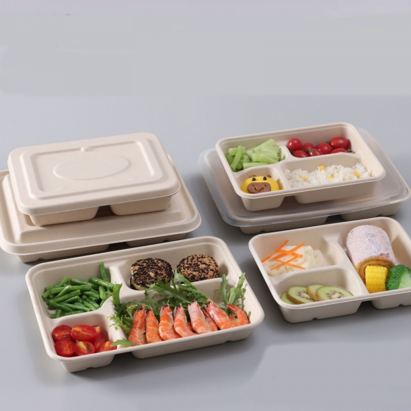 Biodegradable PLA Compostable Meal Boxes