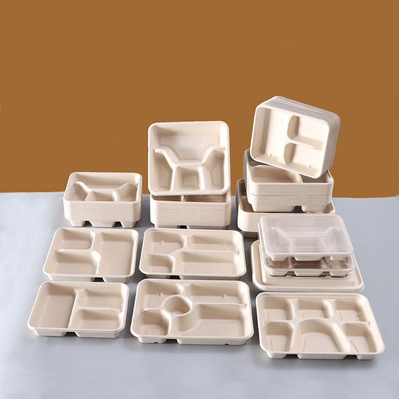 Biodegradable PLA Compostable Meal Boxes